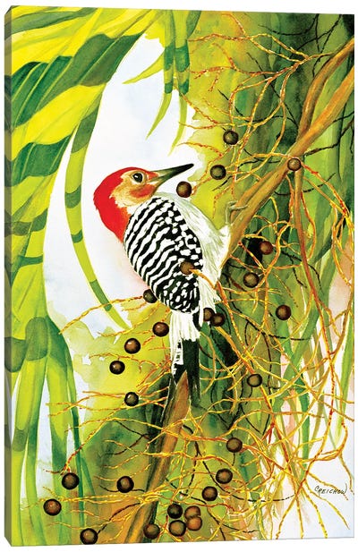 Red Bellied Woodpecker Canvas Art Print - Christine Reichow