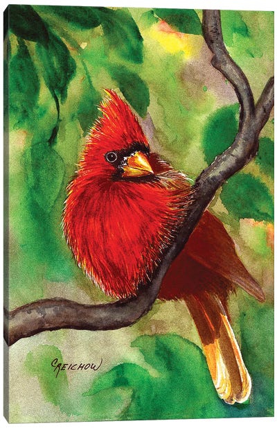 Regal Red Canvas Art Print - Cardinal Art