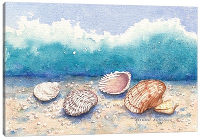 Shellmates Canvas Art Print - Sea Shell Art