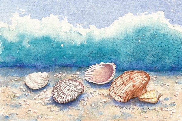 Sea Shells: Shellmates by Christine Reichow