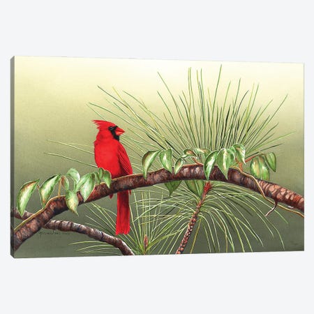 Sitting On The Bough Of The Day Canvas Print #CTW58} by Christine Reichow Canvas Print