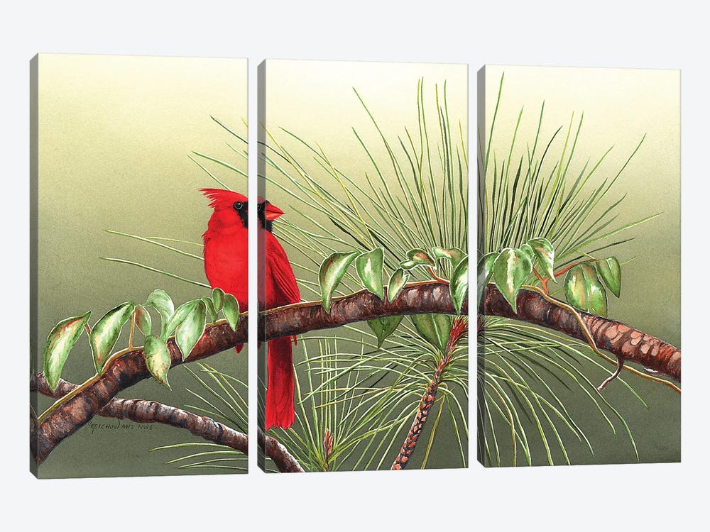 Sitting On The Bough Of The Day by Christine Reichow 3-piece Canvas Artwork