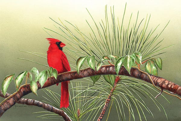 Cardinals: Sitting On The Bough Of The Day by Christine Reichow