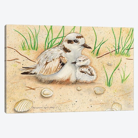 Snowy Plover Mom And Chick Canvas Print #CTW59} by Christine Reichow Canvas Art Print