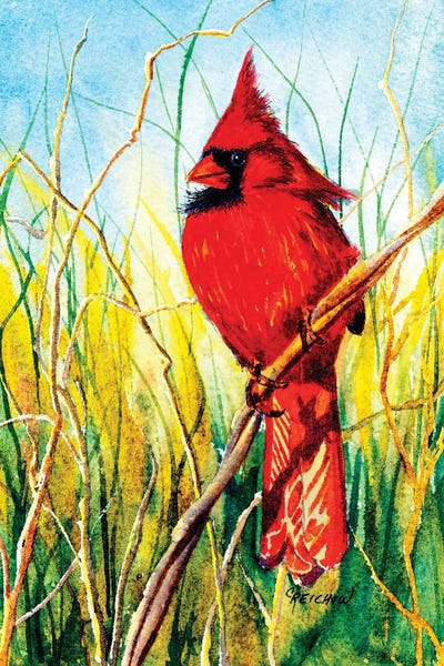 Balancing Act by Christine Reichow framed canvas print