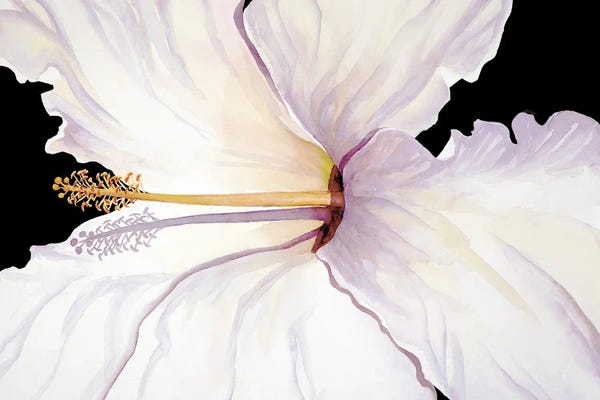 Christine Reichow: Tropical Sunbather by Christine Reichow