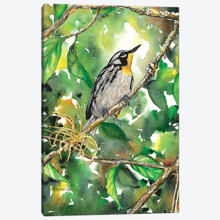 Yellow Throated Warbler Canvas Print #CTW68} by Christine Reichow Canvas Artwork