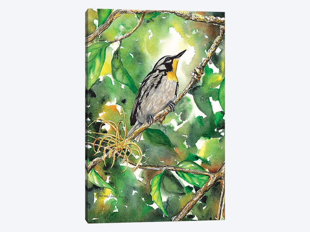 Yellow Throated Warbler by Christine Reichow 1-piece Canvas Print