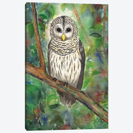 Barred Owl Canvas Print #CTW7} by Christine Reichow Canvas Wall Art