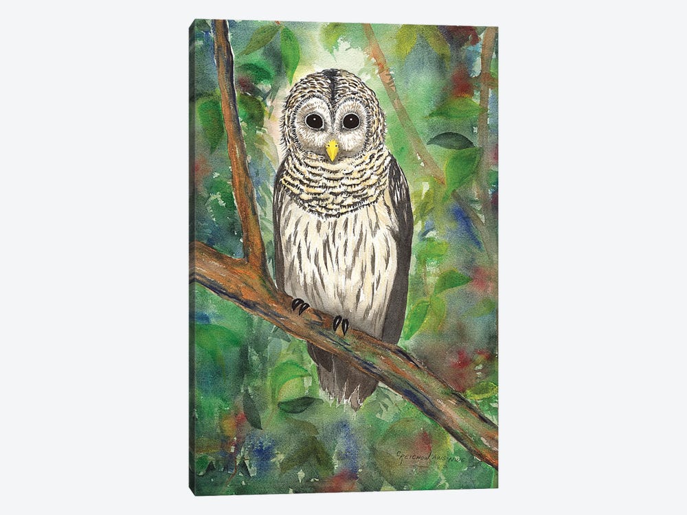Barred Owl by Christine Reichow 1-piece Canvas Art Print