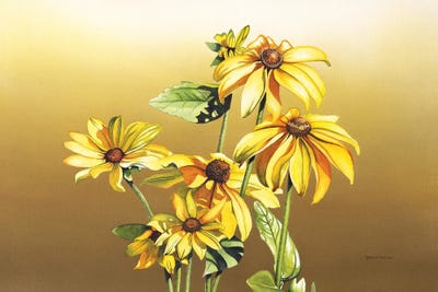 Black Eyed Susan by Christine Reichow multi panel art
