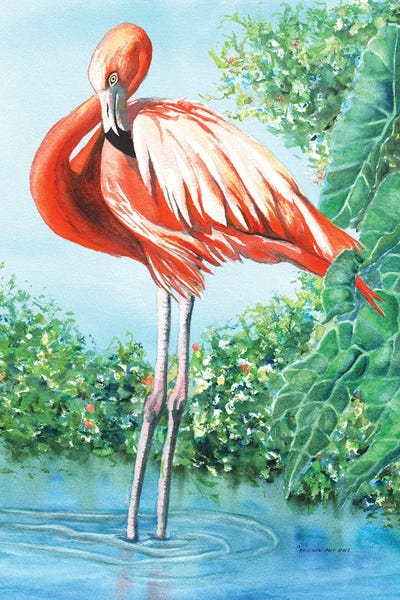Ponds: Flirty Flamingo by Christine Reichow