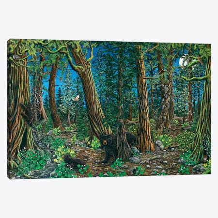 Spirit Of The Forest Canvas Print #CTY13} by Cathy McClelland Art Print
