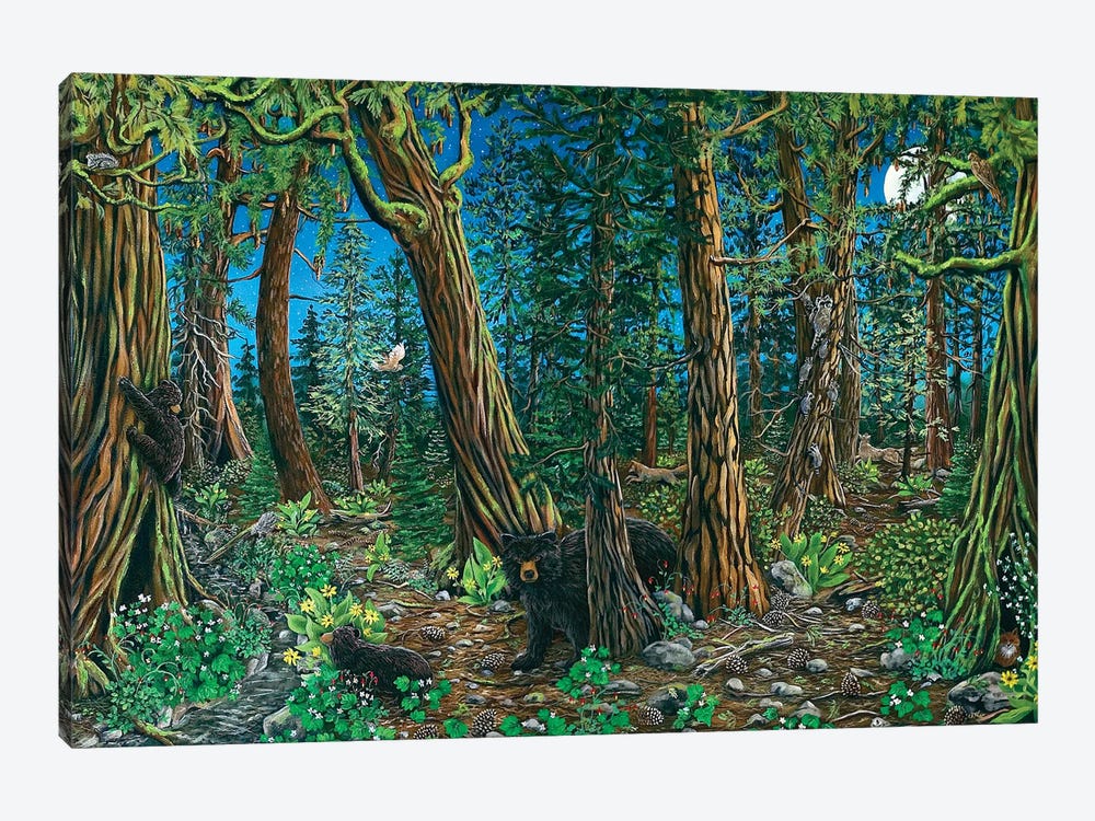 Spirit Of The Forest by Cathy McClelland 1-piece Canvas Artwork