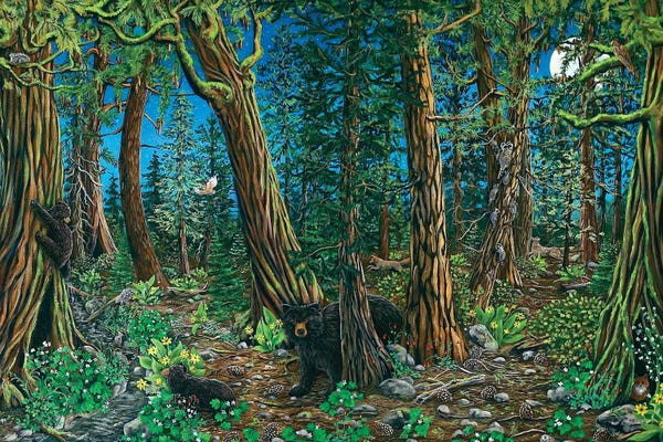 Cathy McClelland: Spirit Of The Forest by Cathy McClelland