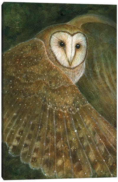 Night Spirit Canvas Art Print - Cathy McClelland