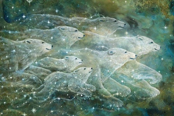 Cathy McClelland: Starlight Bears by Cathy McClelland