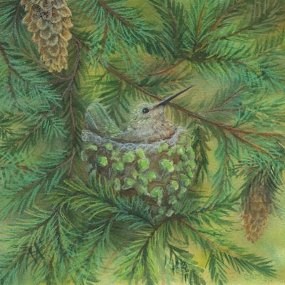 Forest Hummer by Cathy McClelland framed wall art