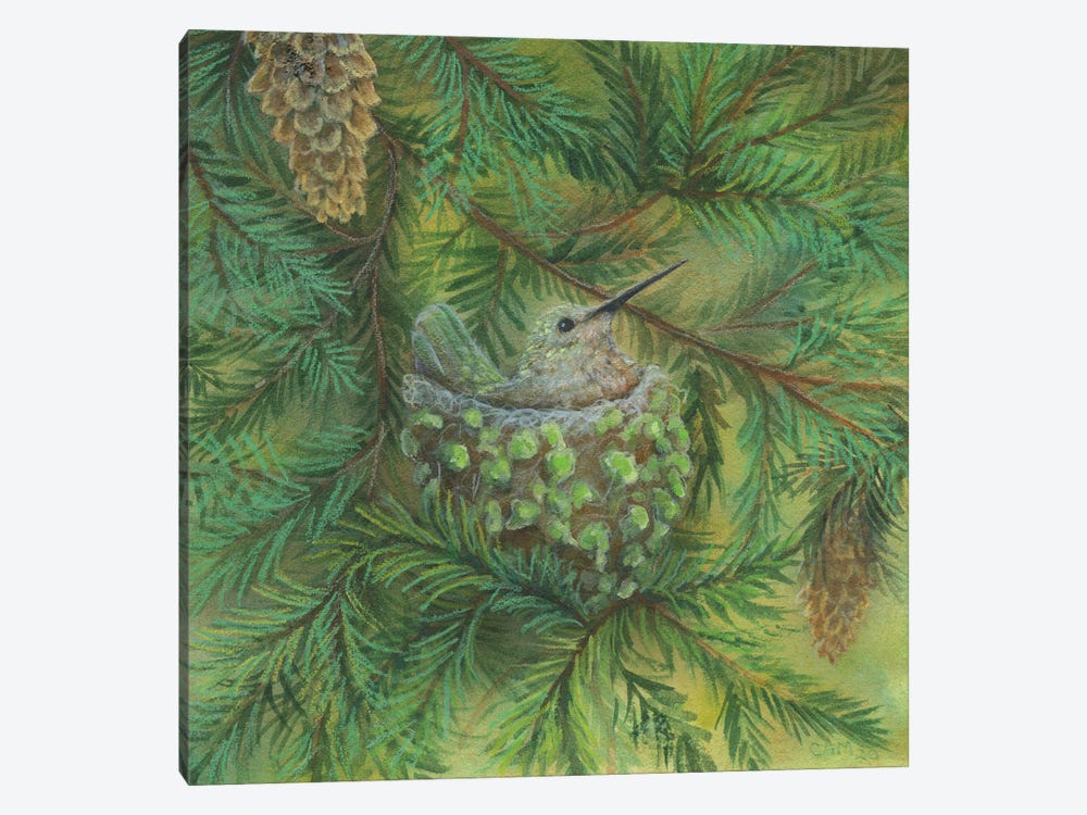 Forest Hummer by Cathy McClelland 1-piece Canvas Wall Art