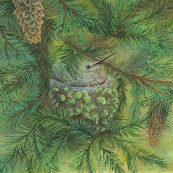Cathy McClelland: Forest Hummer by Cathy McClelland