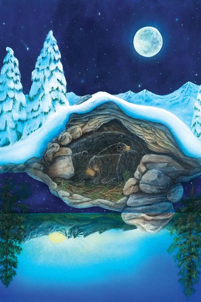 Cathy McClelland: Bear Dreams by Cathy McClelland