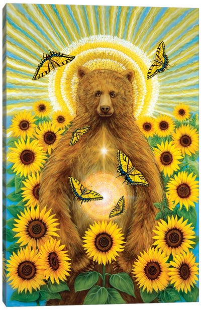 Sun Bear Canvas Art Print - Cathy McClelland