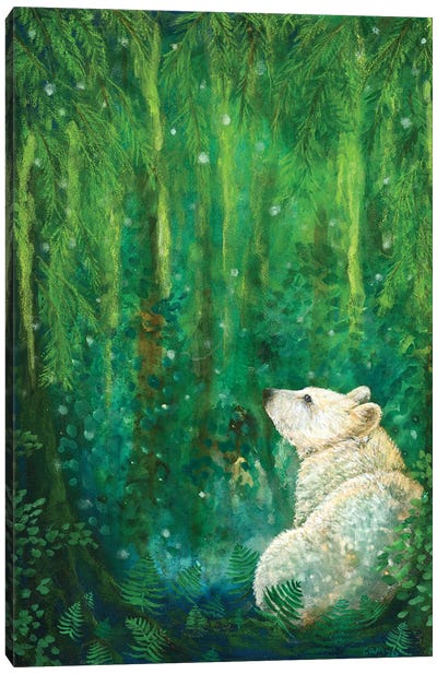 Land Of The Spirit Bear Canvas Art Print - Cathy McClelland