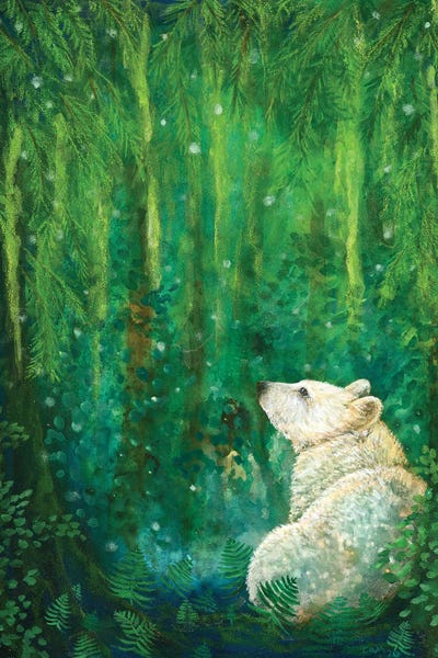 Cathy McClelland: Land Of The Spirit Bear by Cathy McClelland