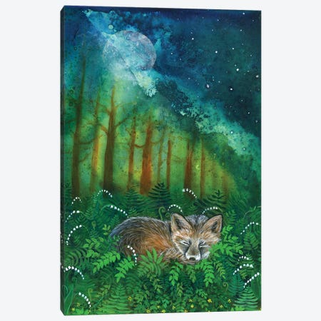 Dreaming Fox Canvas Print #CTY9} by Cathy McClelland Canvas Art Print
