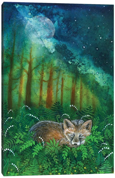 Dreaming Fox Canvas Art Print - Cathy McClelland