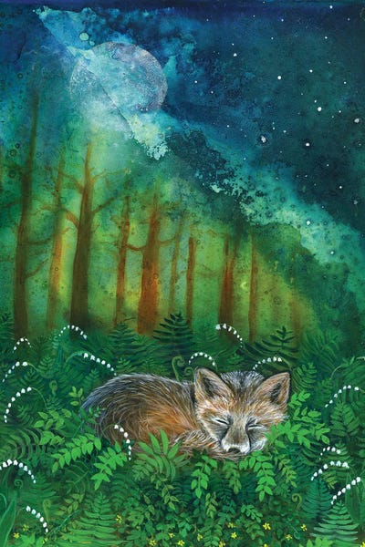 Ferns: Dreaming Fox by Cathy McClelland