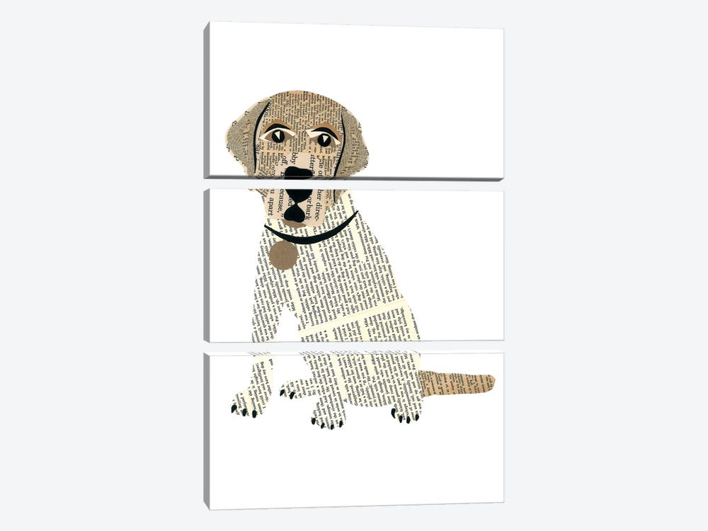 Labrador by Paper Cutz 3-piece Canvas Print