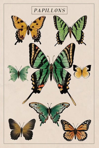 Vintage Animal Illustrations: Vintage Butterfly Chart by Saturday Evening Post