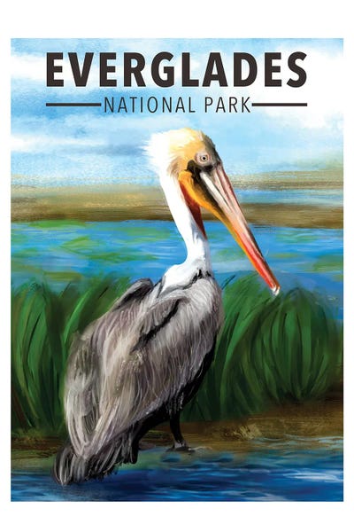 Pelicans: Visit Everglades by Saturday Evening Post