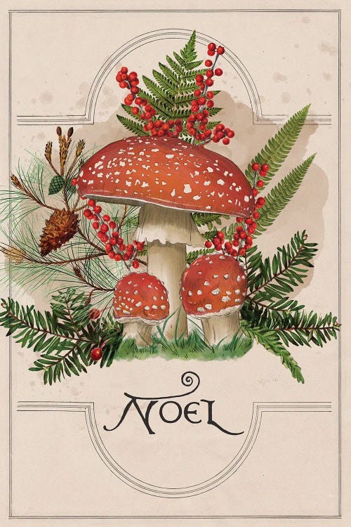 Amanita Muscaria Mushroom by Saturday Evening Post wall art