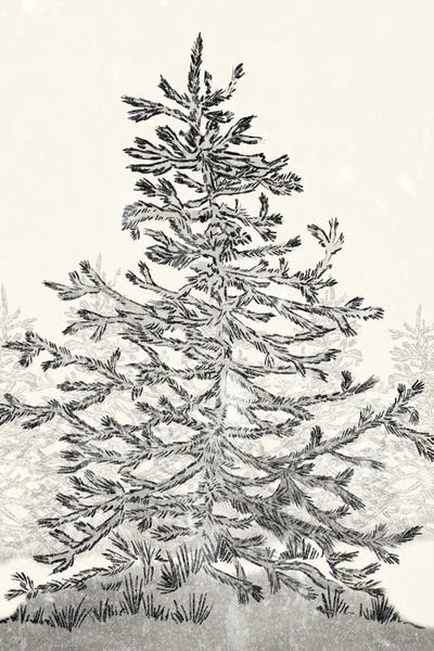 Botanical Tree Sketch