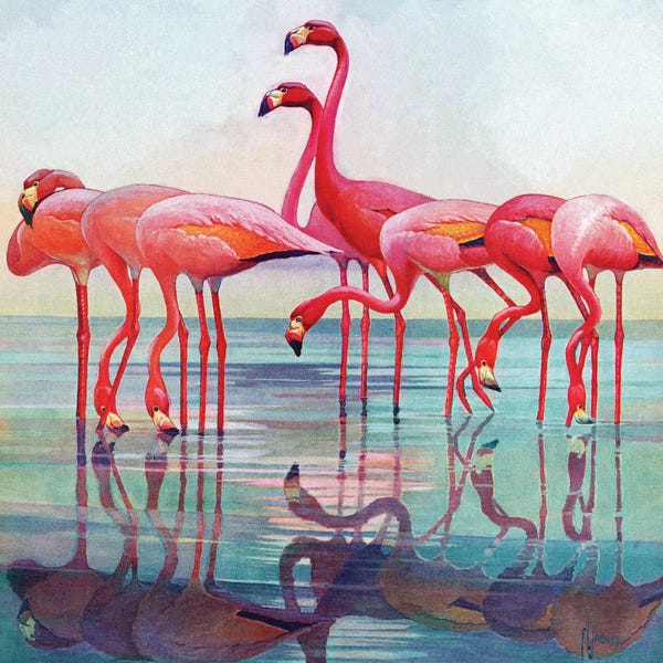 American Décor: Pink Flamingos by Francis Lee Jaques