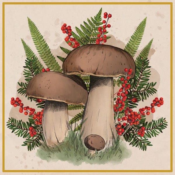 Woodland Floor Christmas Botanical