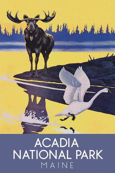 Geese: Acadia National Park by Saturday Evening Post