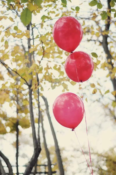Can You See The Red Balloons by Chelsea Victoria canvas print