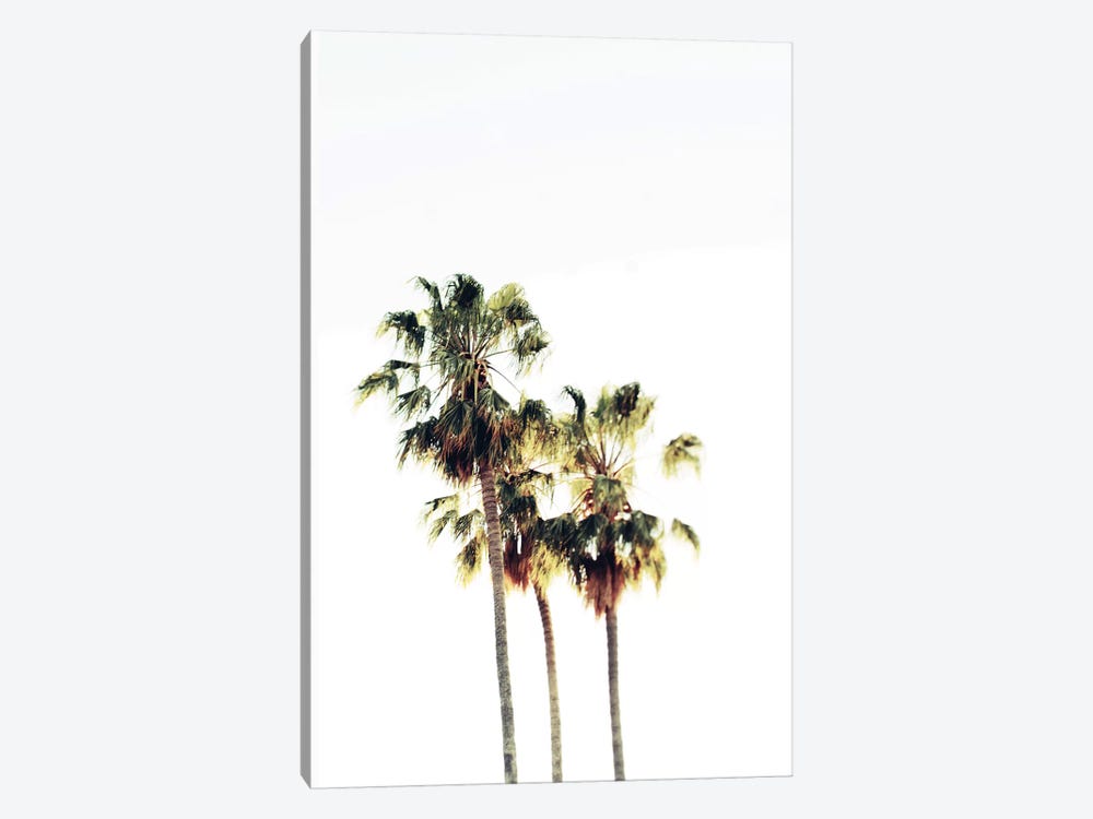 The Palms Blanc by Chelsea Victoria 1-piece Art Print