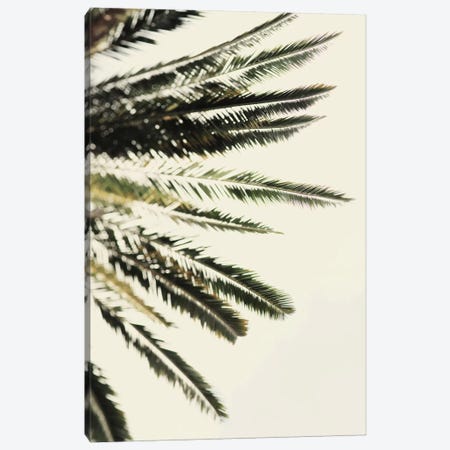The Palms Canvas Print #CVA101} by Chelsea Victoria Art Print
