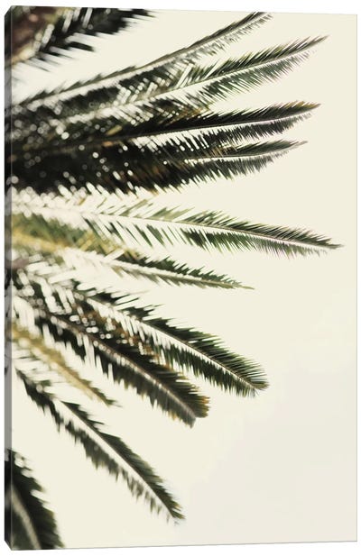 The Palms Canvas Art Print - Green Leaves 