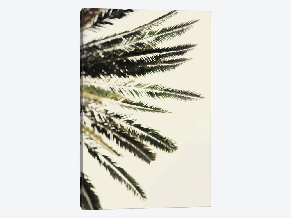 The Palms by Chelsea Victoria 1-piece Canvas Art