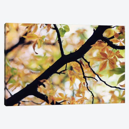 The Story Of Autumn Canvas Print #CVA104} by Chelsea Victoria Canvas Art