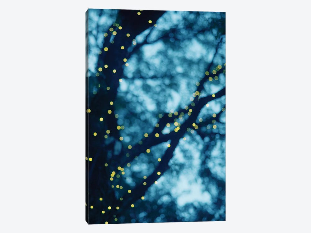 Through The Bokeh I by Chelsea Victoria 1-piece Canvas Print