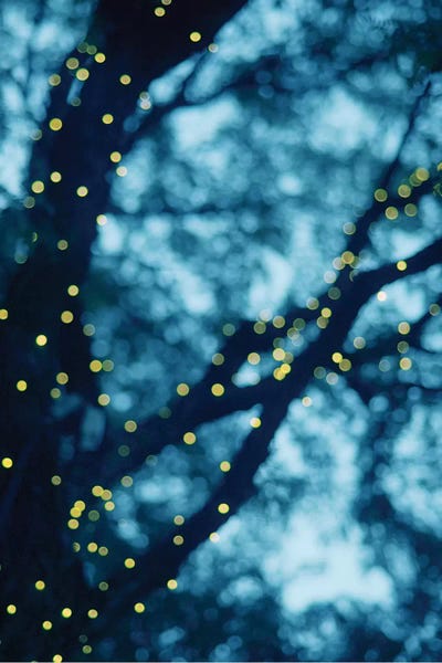 Chelsea Victoria: Through The Bokeh I by Chelsea Victoria