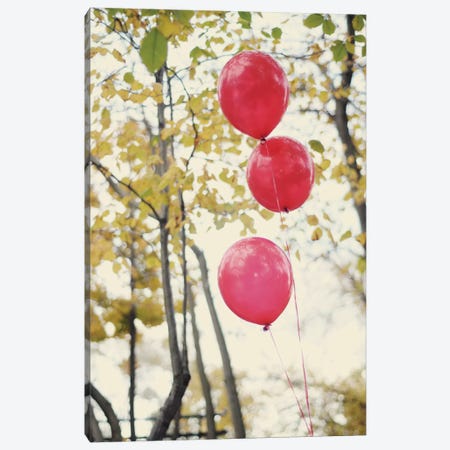 Can You See The Red Balloons Canvas Print #CVA10} by Chelsea Victoria Canvas Art