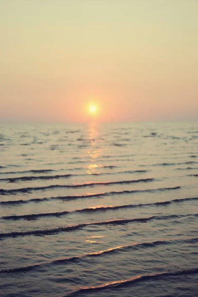 Nature Close-Ups: Cape Cod  by Chelsea Victoria