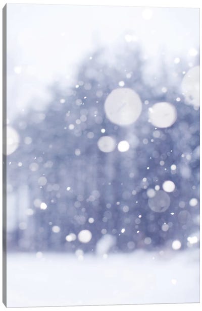 Winter Days Canvas Art Print - Ice & Snow Close-Up Art